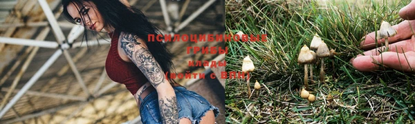 прущие крисы Заволжск