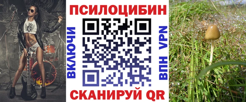 купить   Знаменск  Галлюциногенные грибы MAGIC MUSHROOMS 